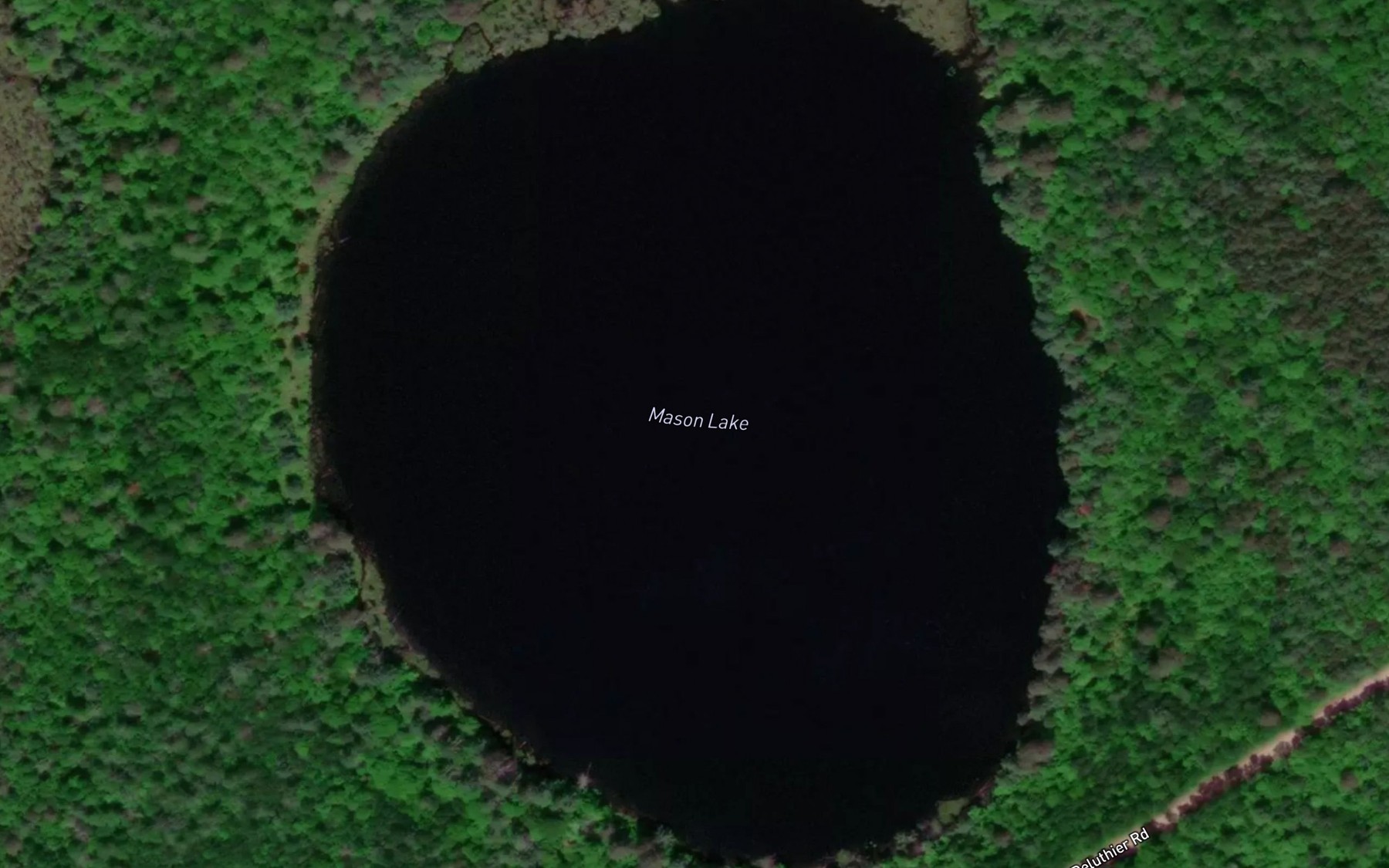 Satellite map of the Mason Lake