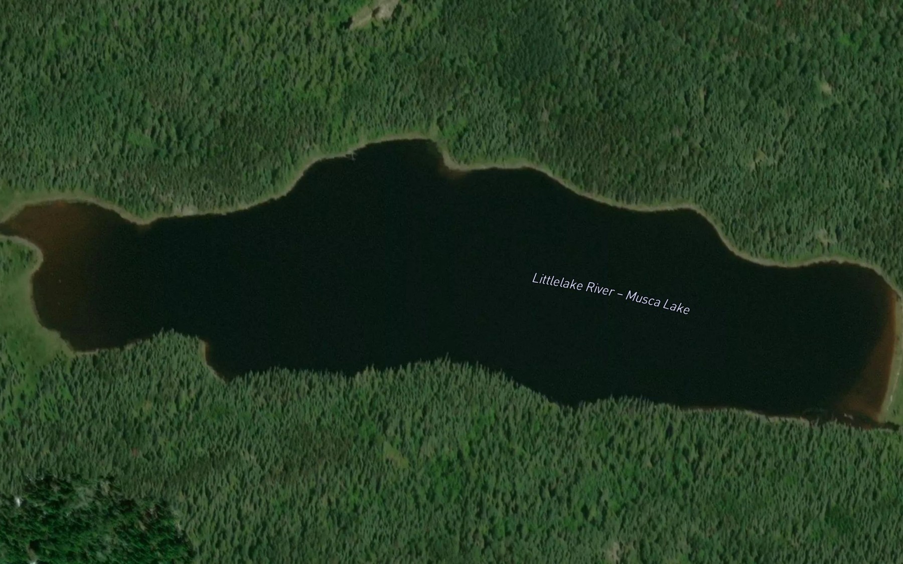 Satellite map of the Musca Lake