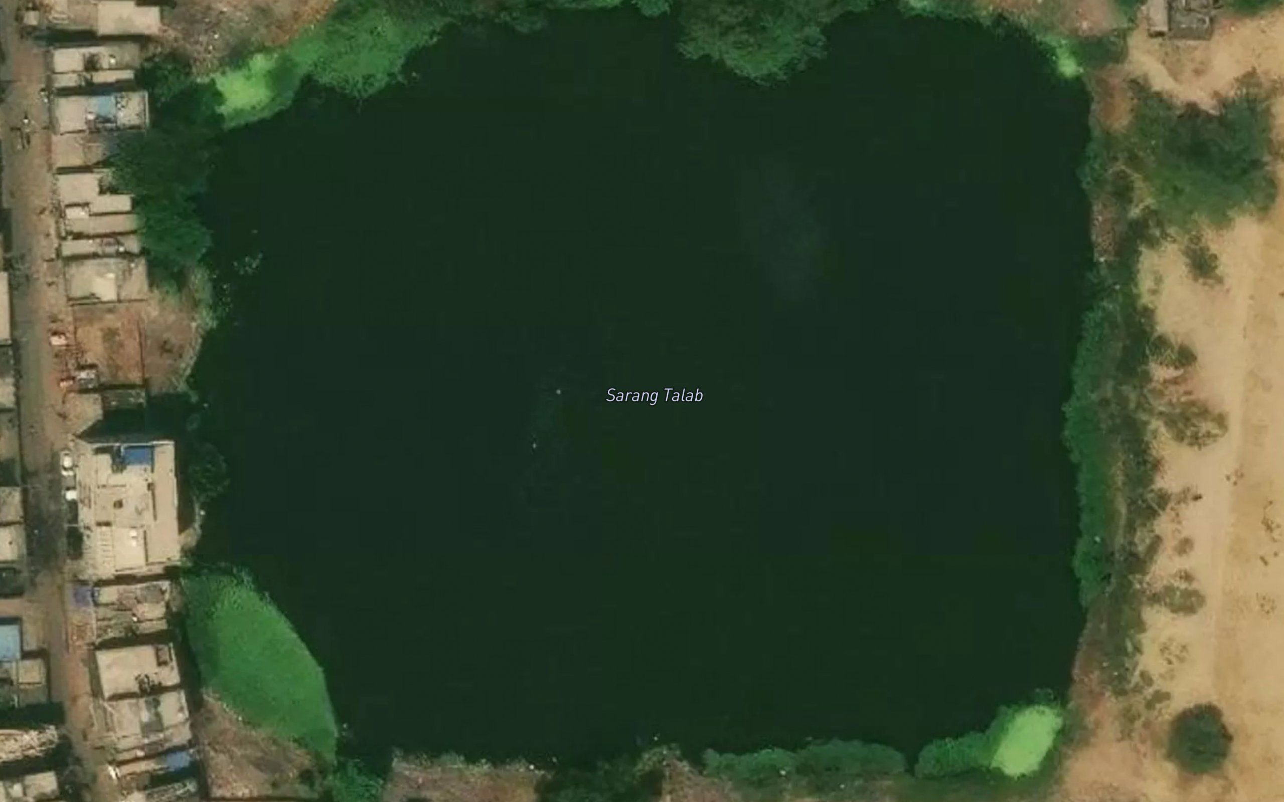 Sarang Talab