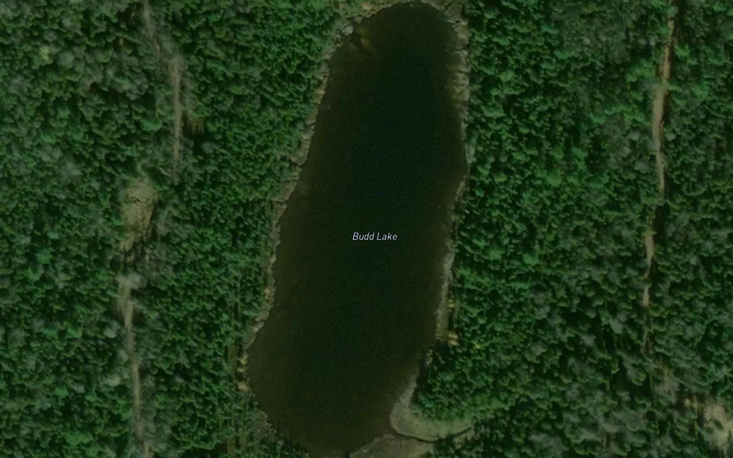 Budd Lake