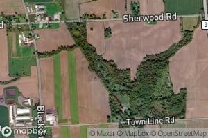 Woods Mill Pond (historical)