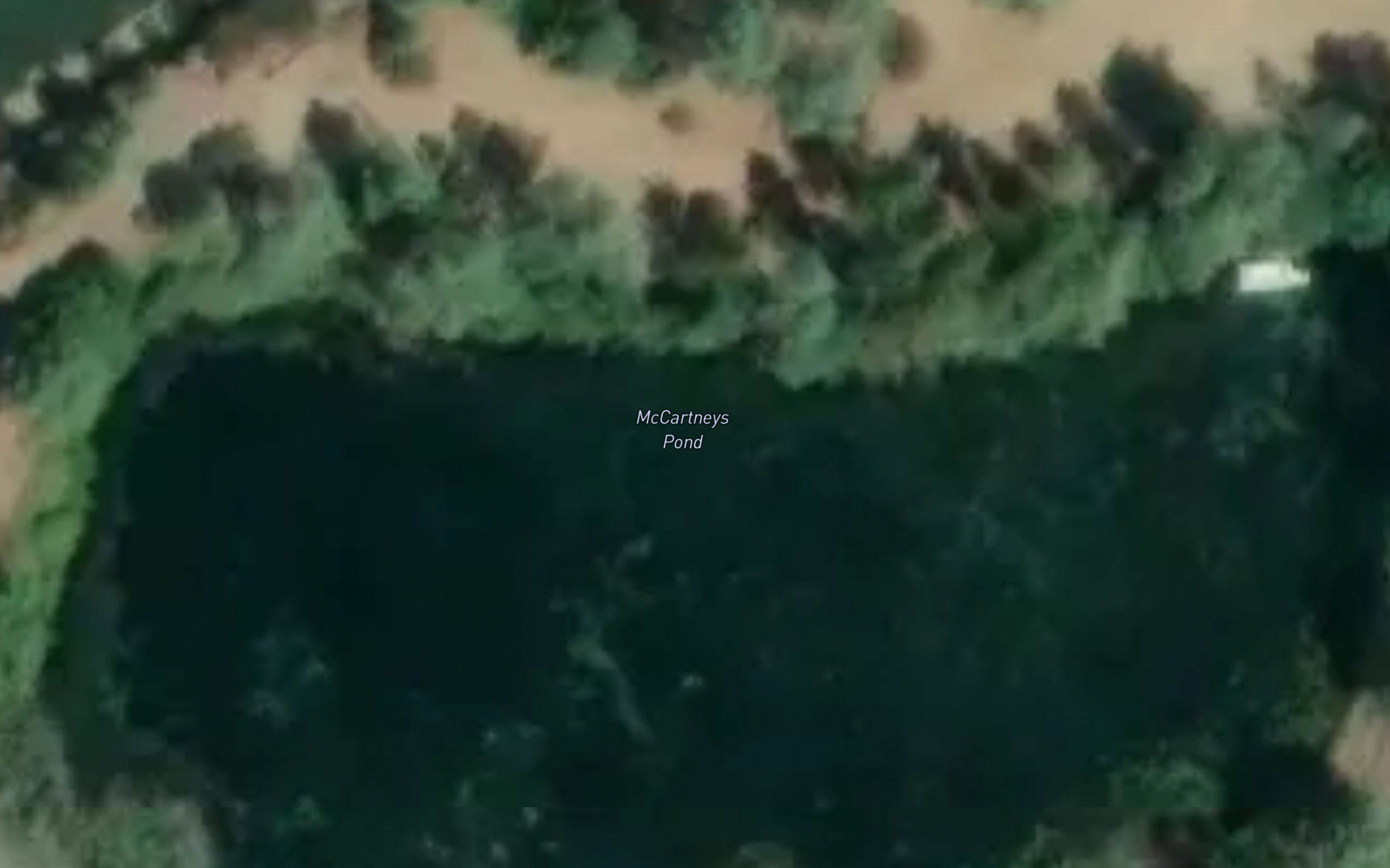 McCartneys Pond