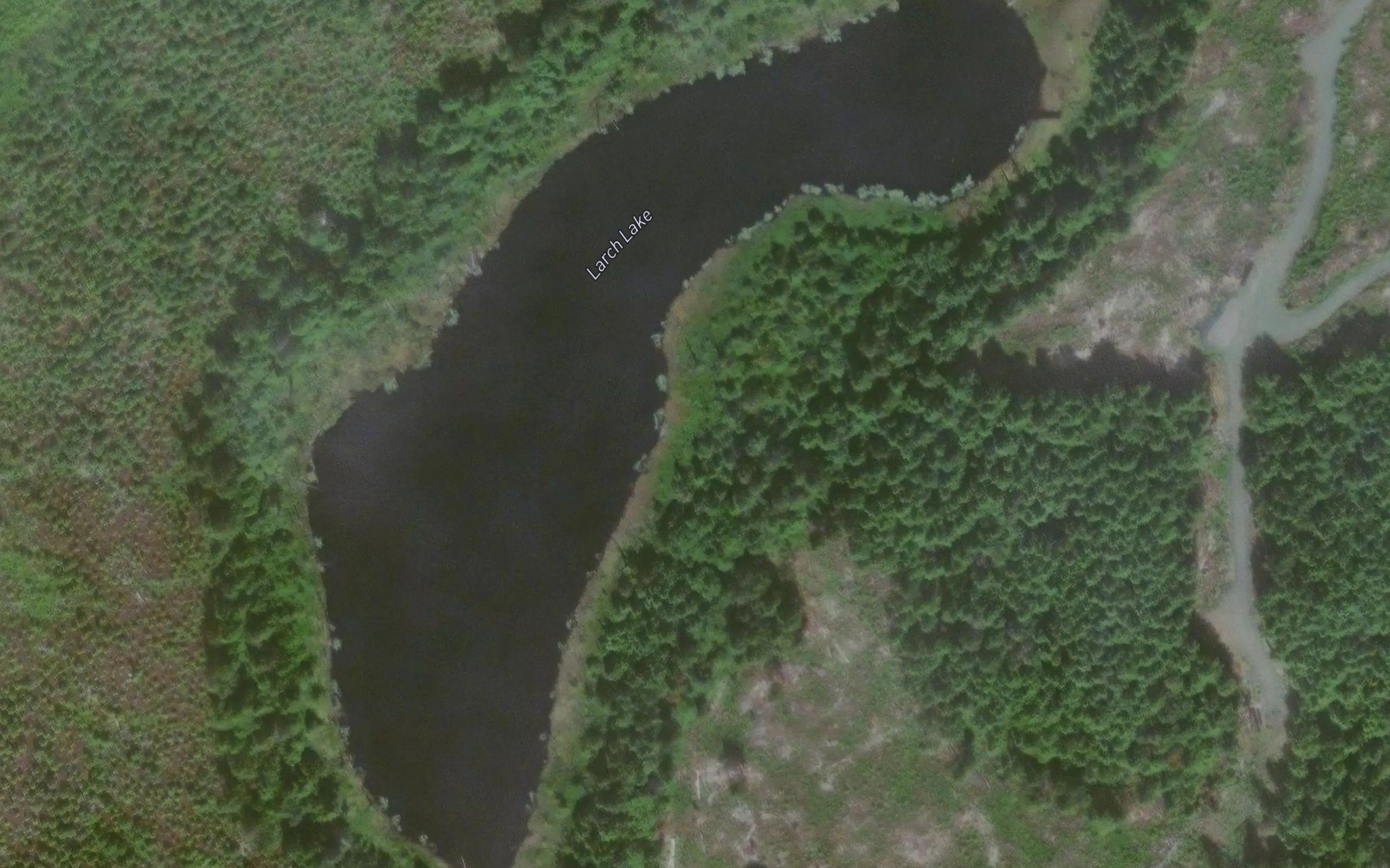 Larch Lake