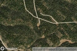 Cougar Lake
