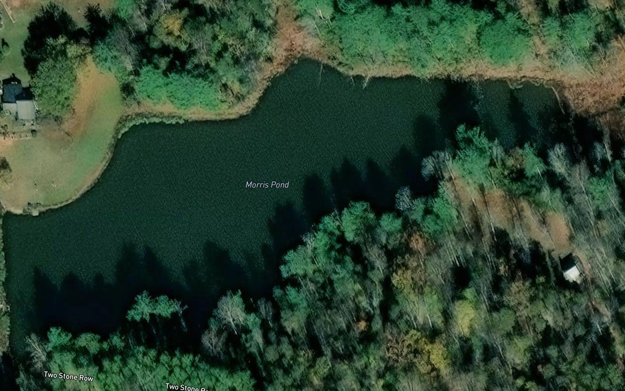 Morris Pond