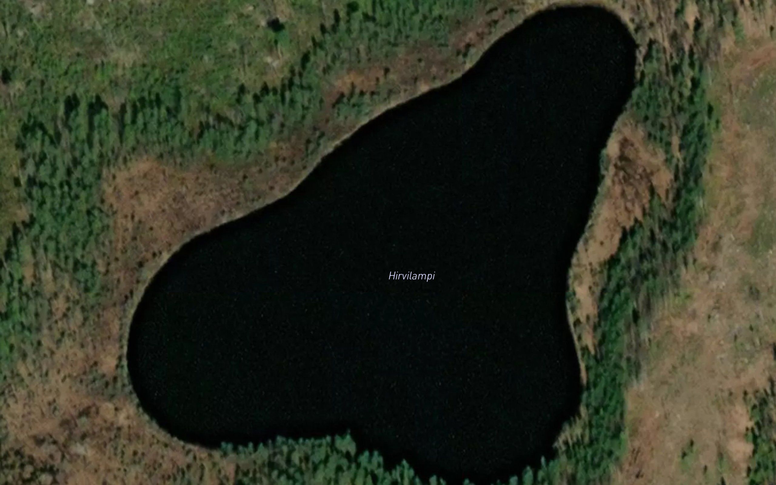 Hirvilampi