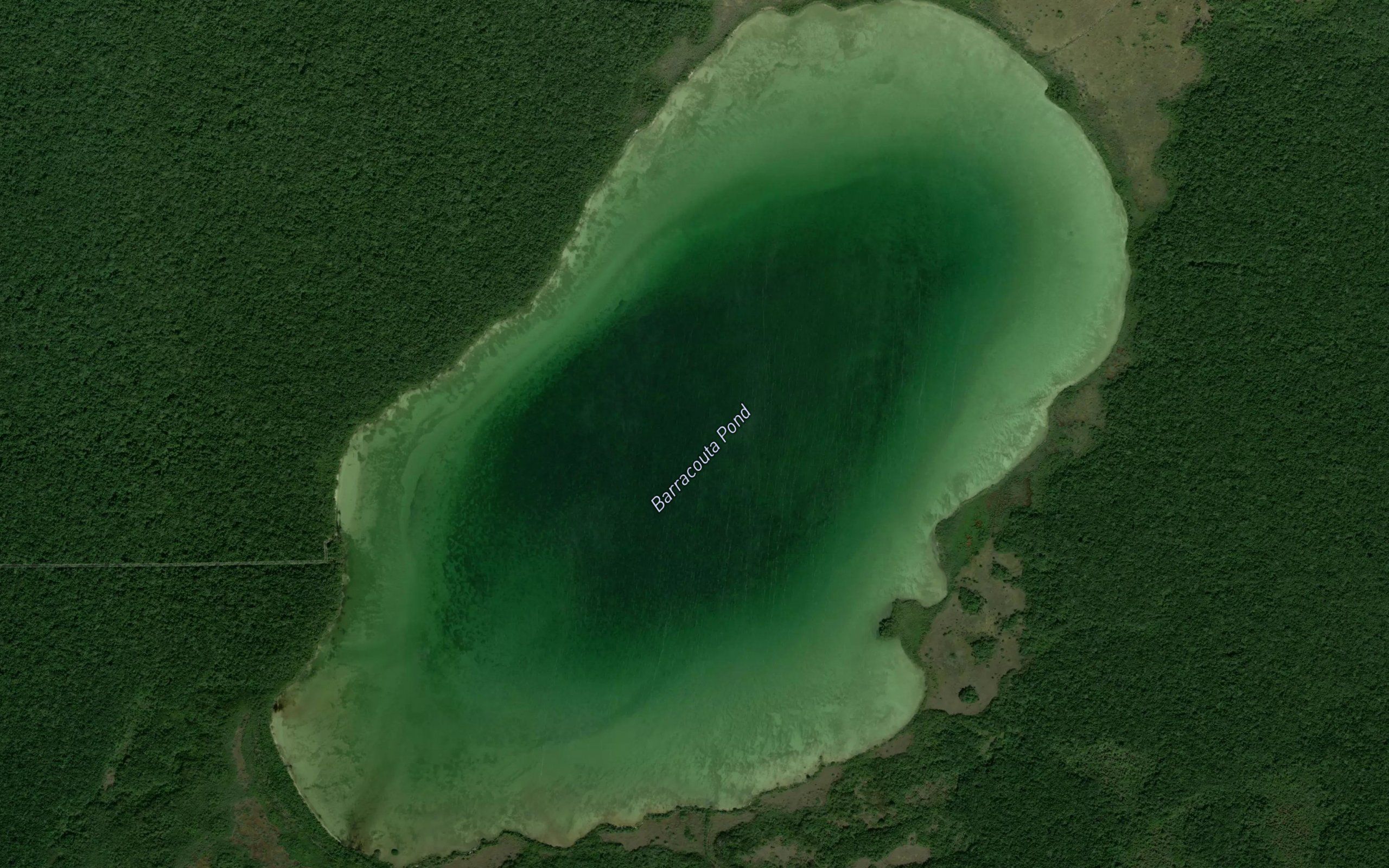 Barracouta Pond