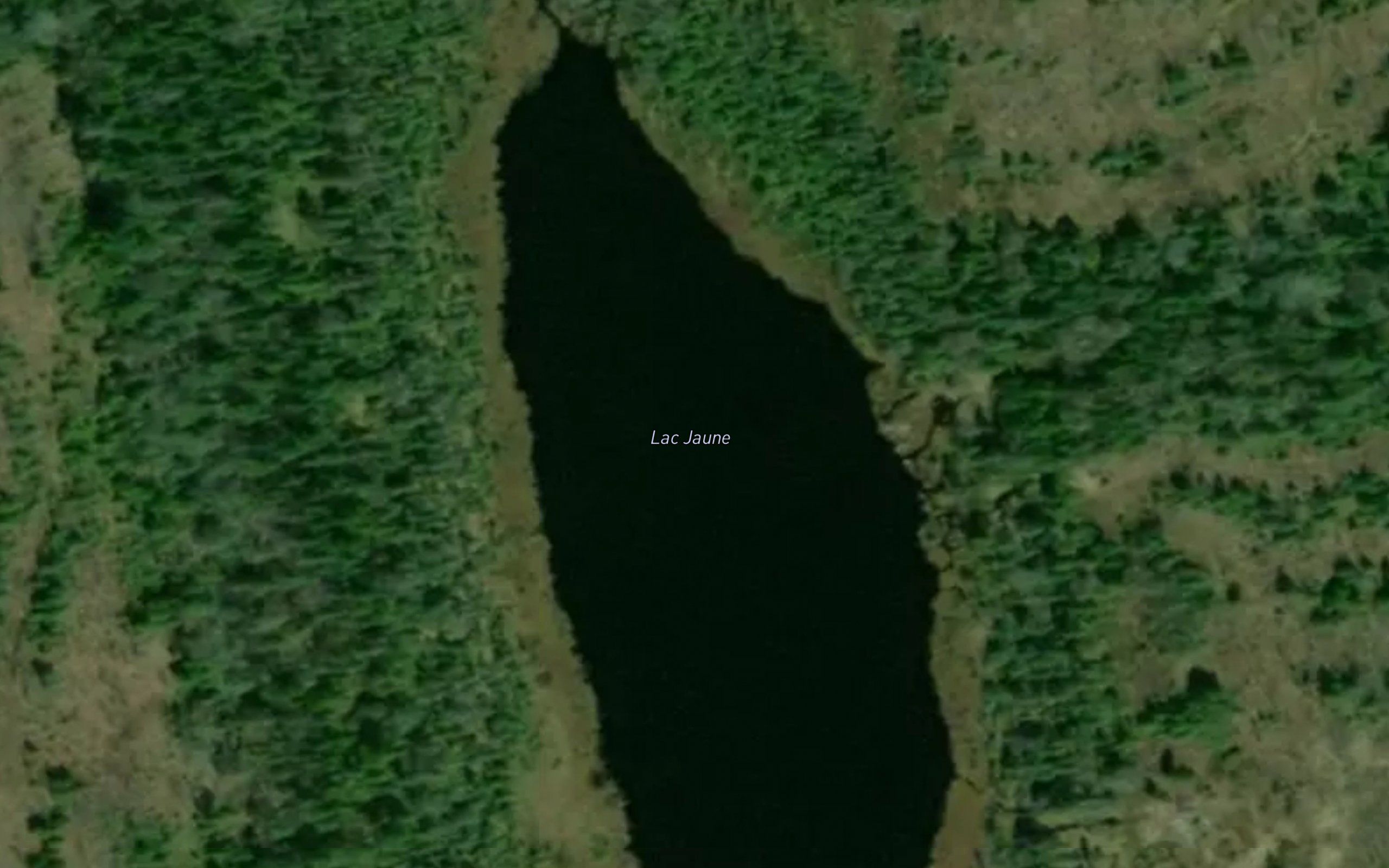 Lac Jaune