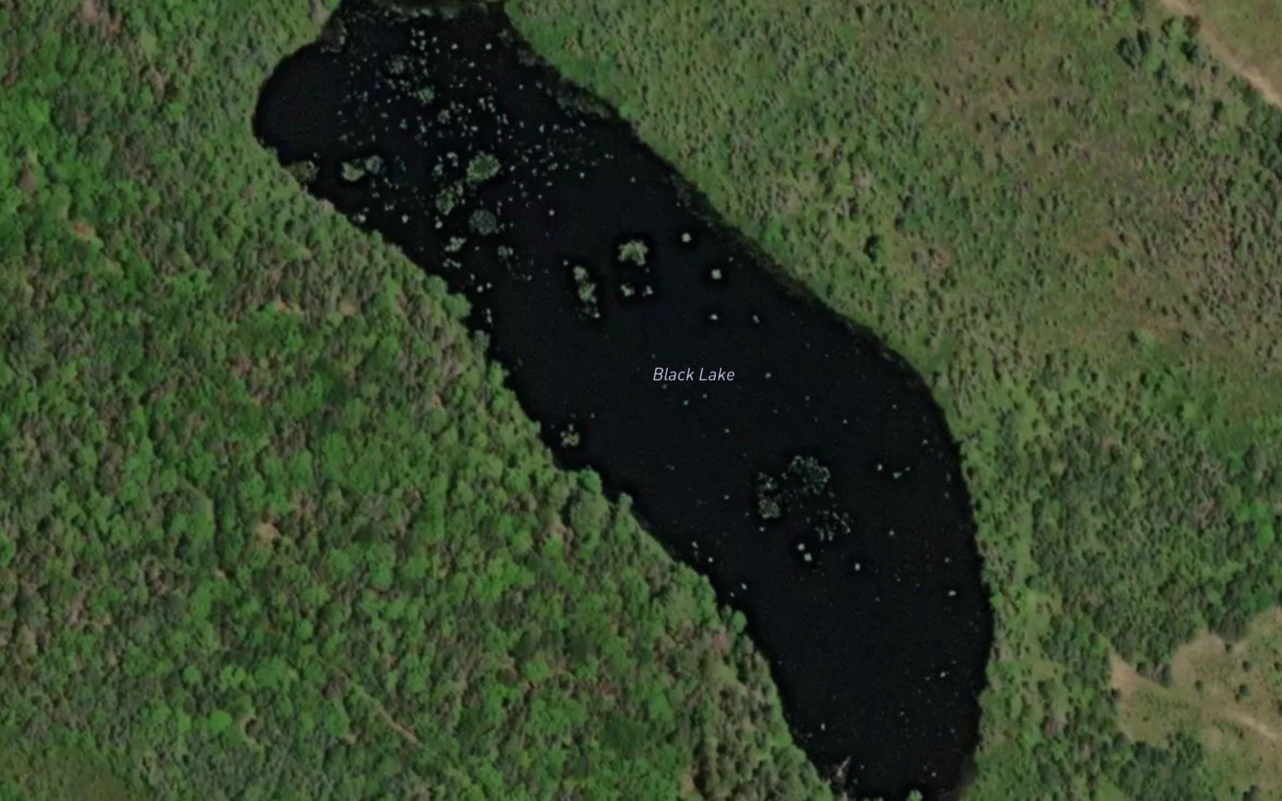 Black Lake