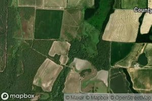Coon Tail Creek