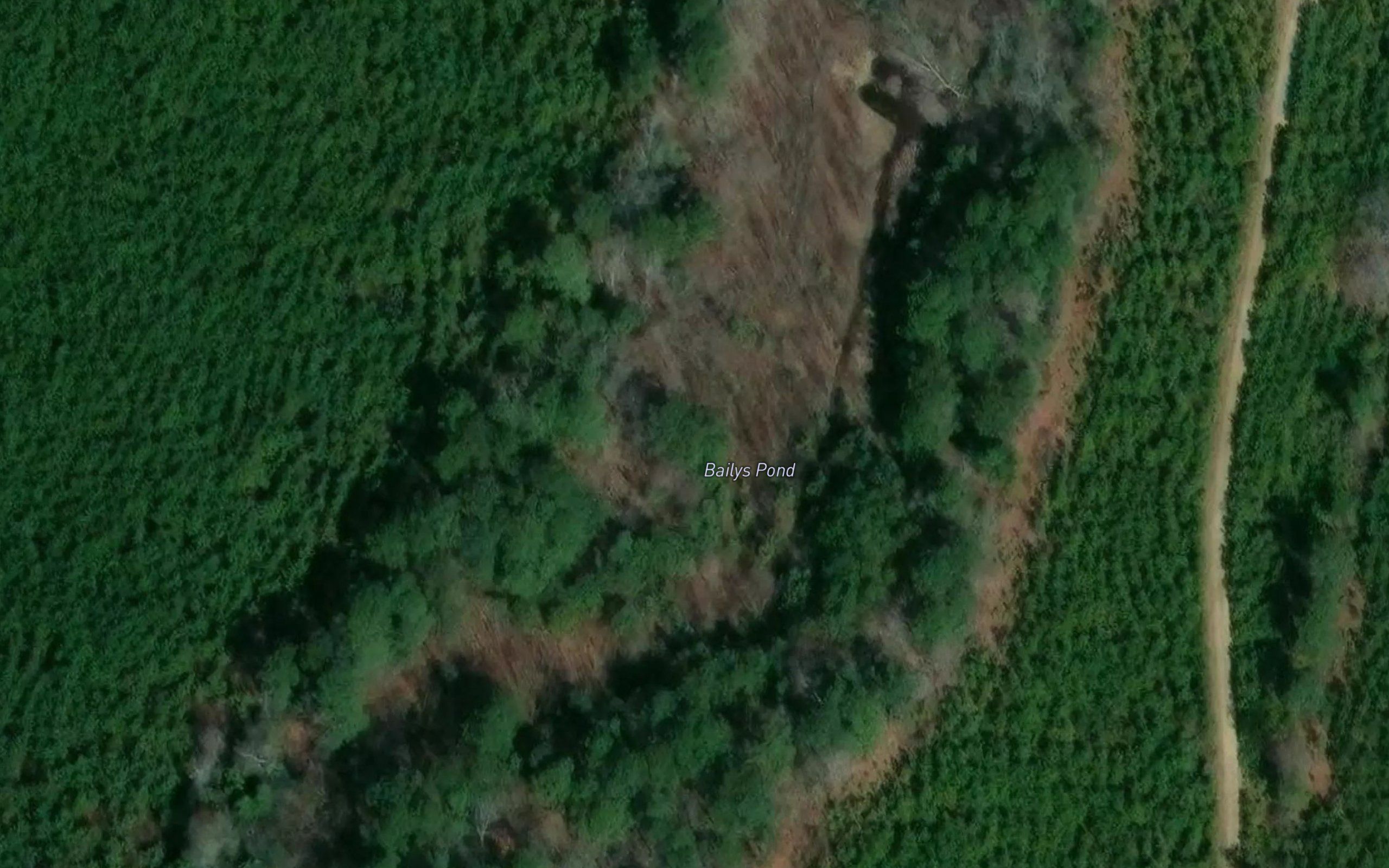 Bailys Pond