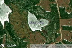 Mud Lake