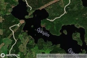 Ojasjon