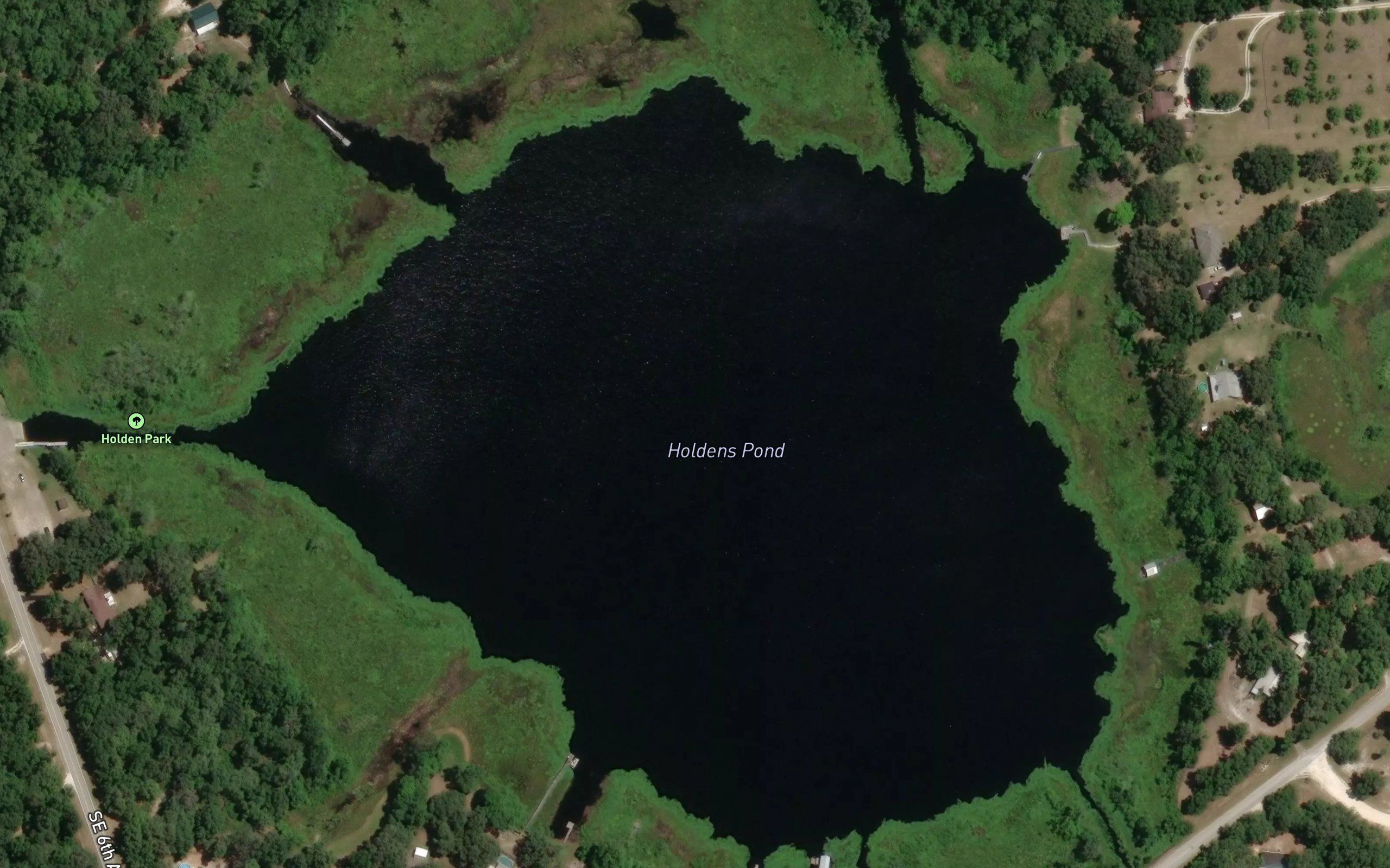 Holdens Pond