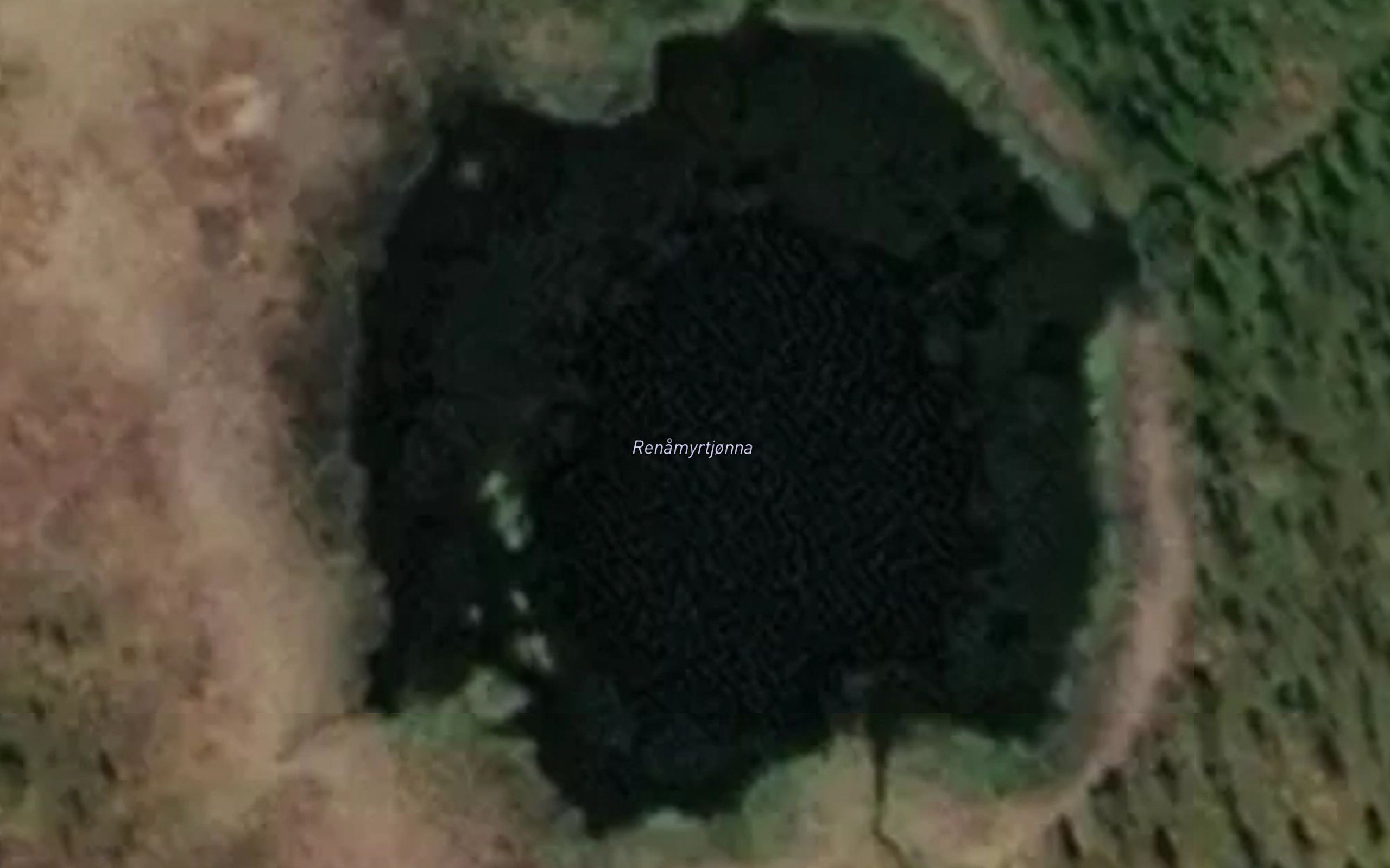 Renamyrtjorna