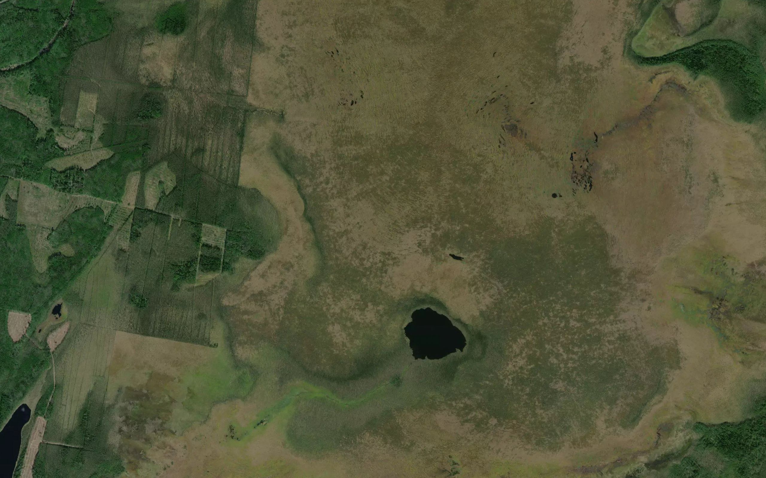 Ozero Gogolinskoye