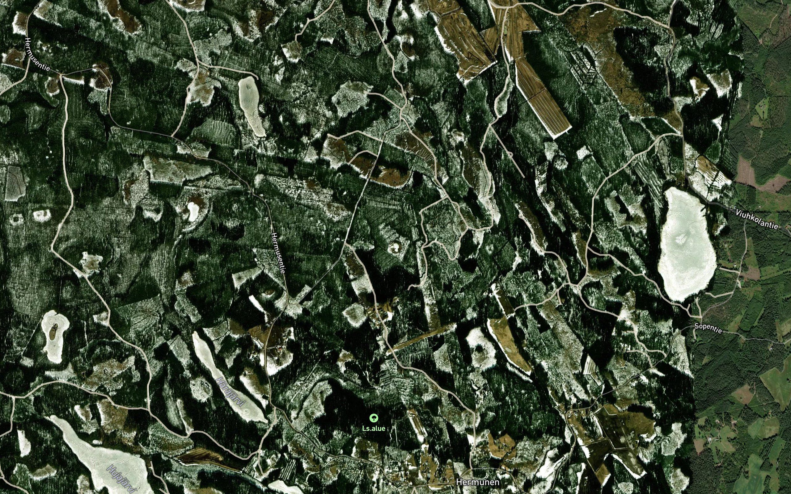 Puntarlampi