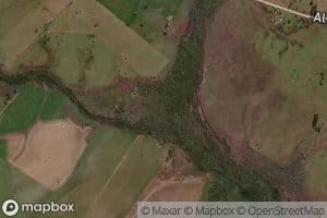 Arroyo Sauce Caviloso