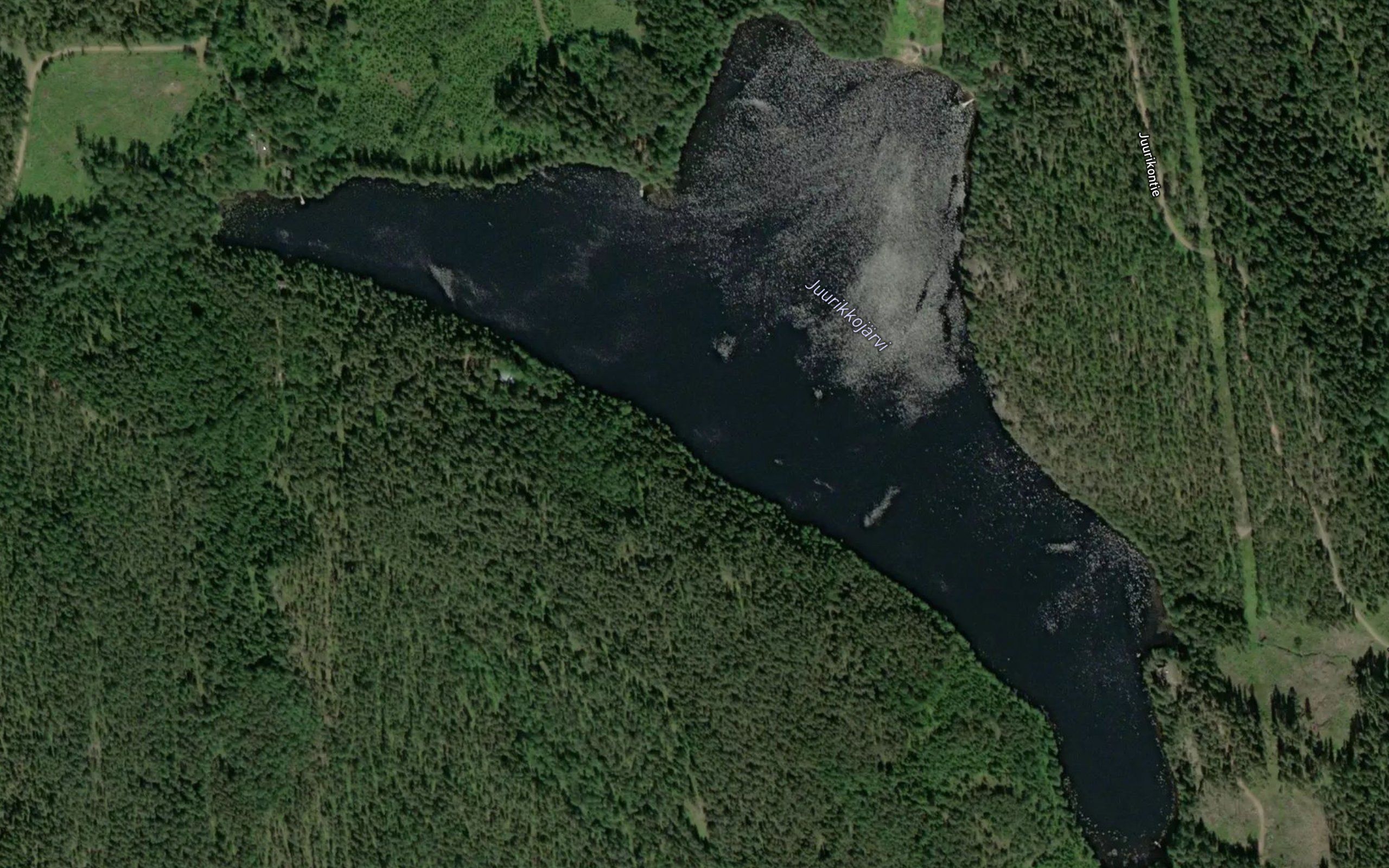 Juurikkojarvi