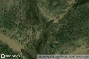 Gryaznushka