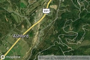 Chestnut Cove Branch