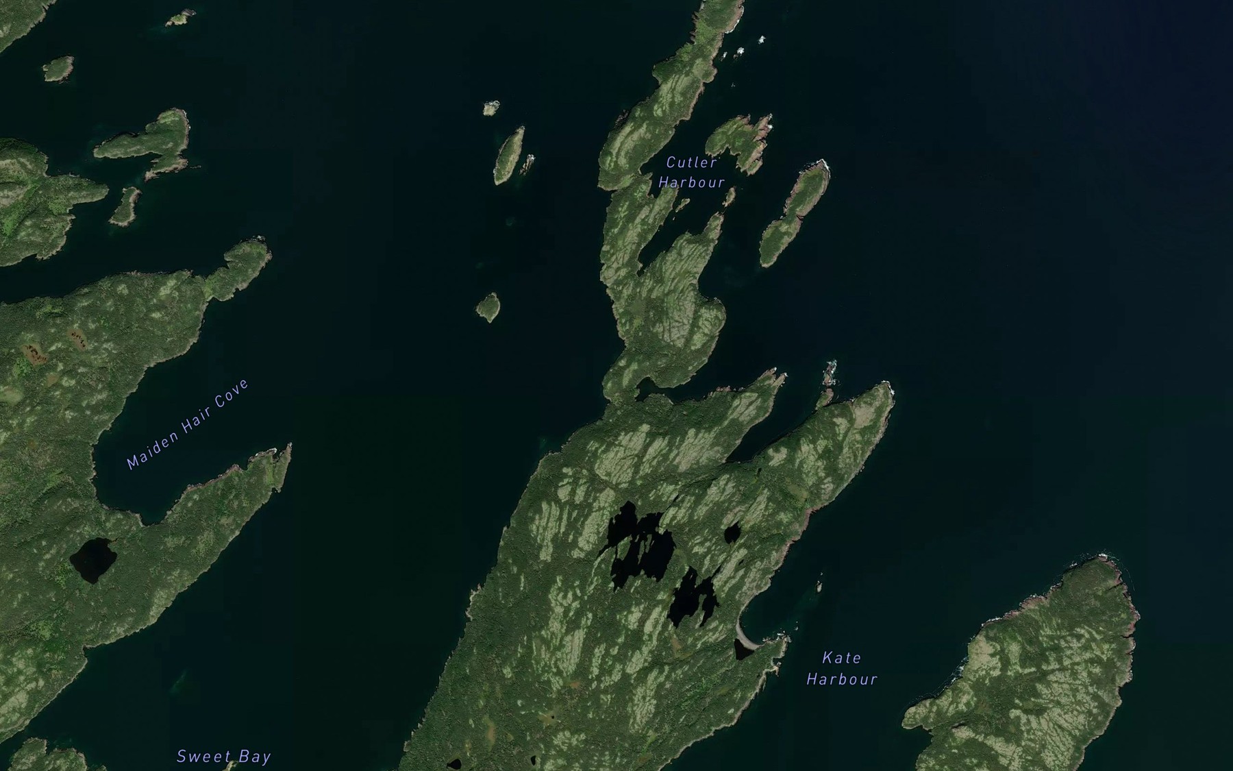 Satellite map of the Cottles Cove