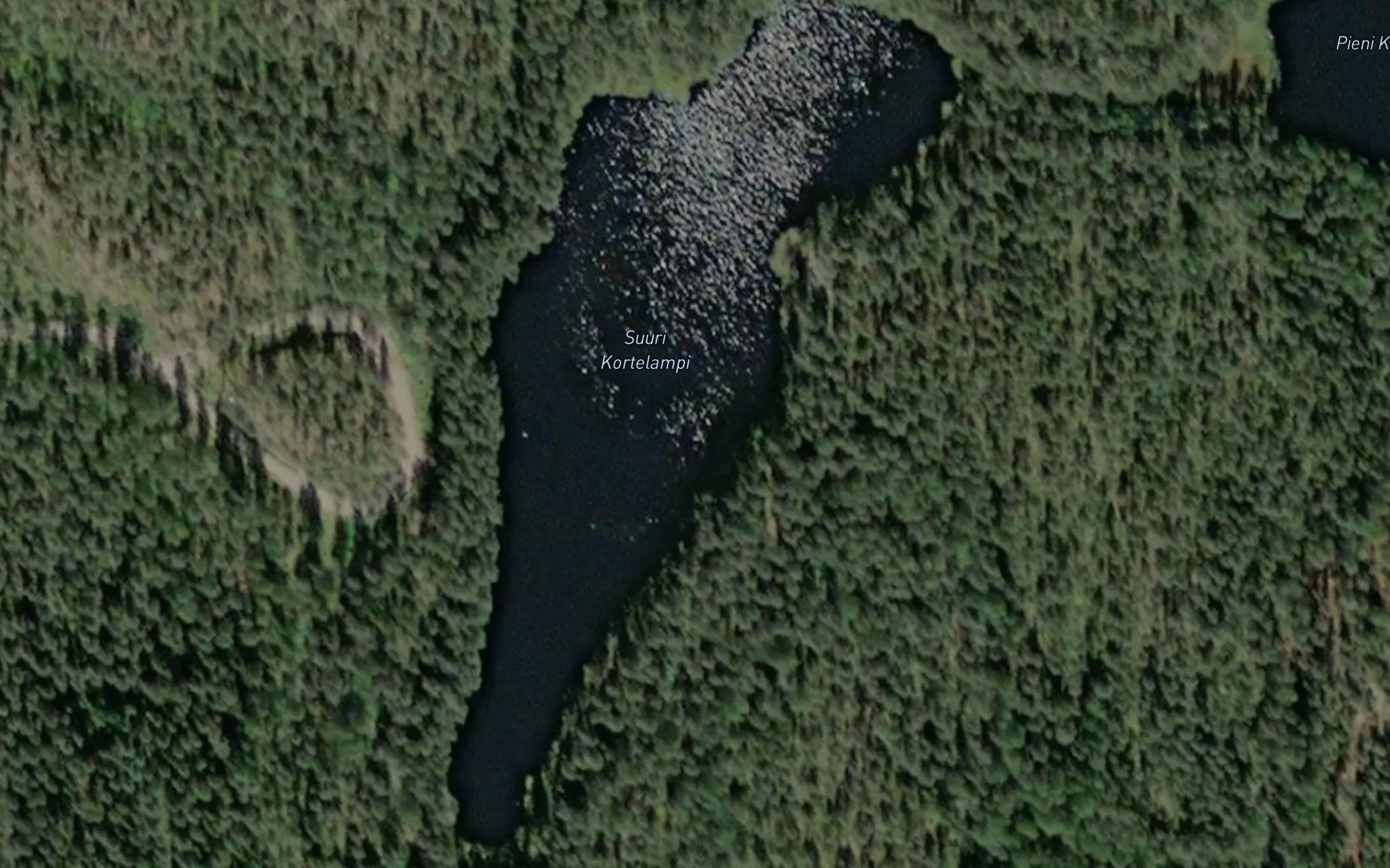 Suuri Kortelampi
