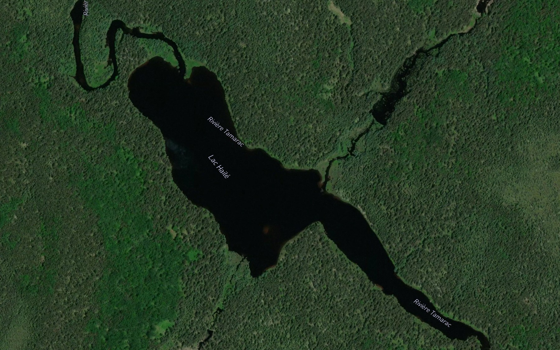 Satellite map of the Lac Haile