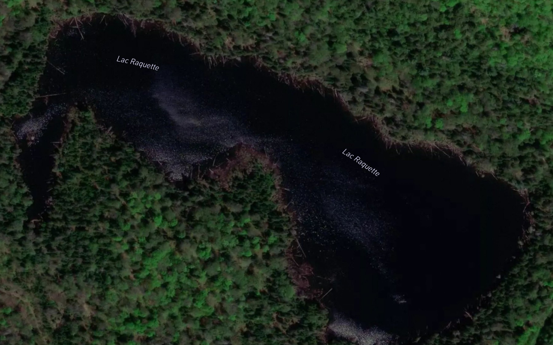 Satellite map of the Lac Raquette