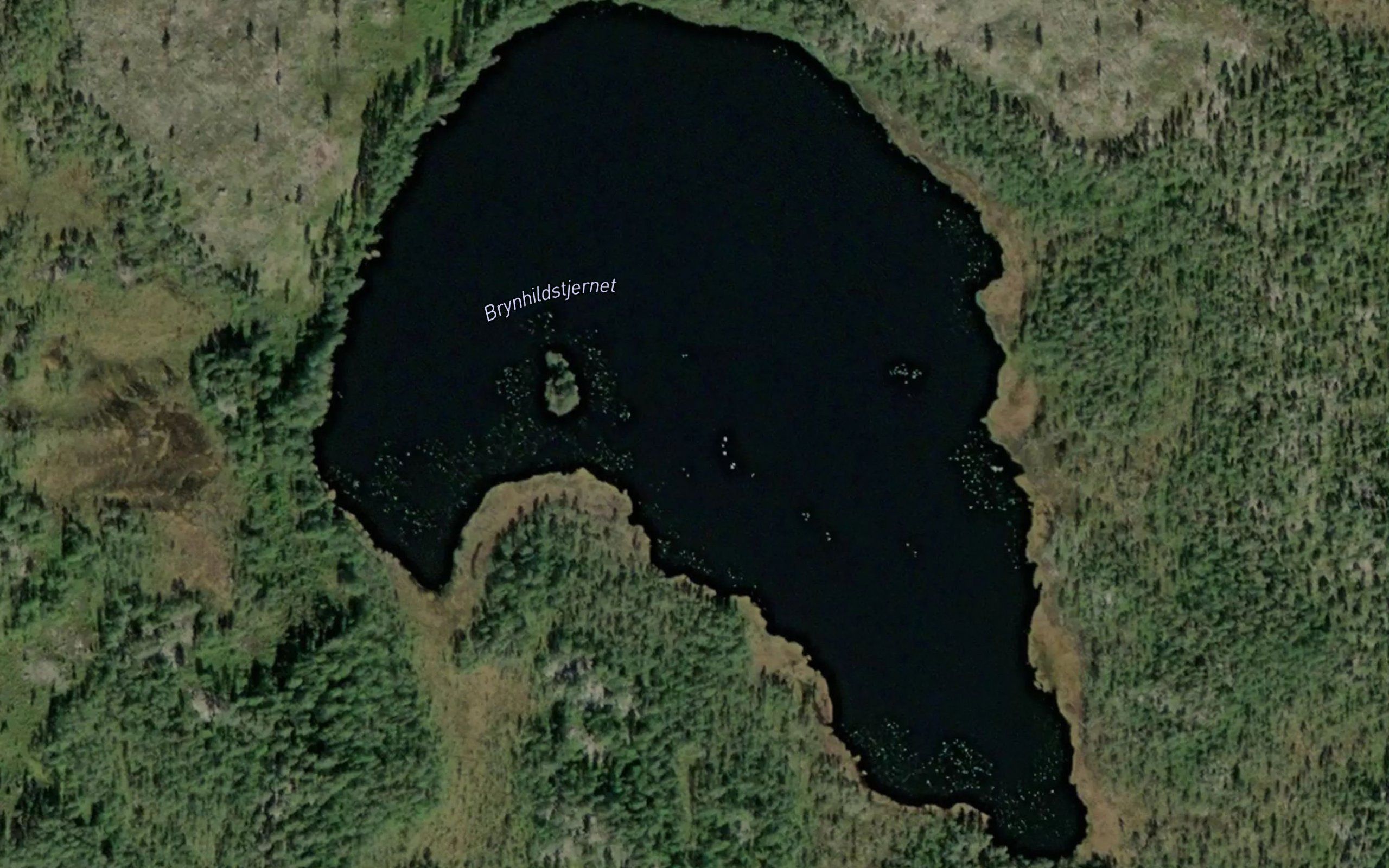 Brynhildstjernet