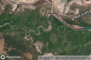Marion Creek