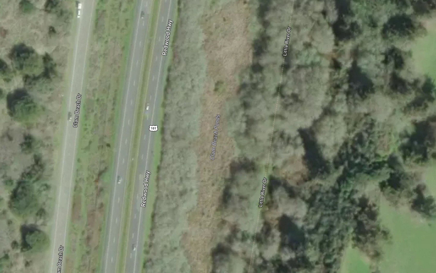 Satellite map of the Clam Beach Ponds