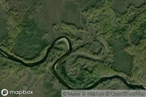 Nyarug