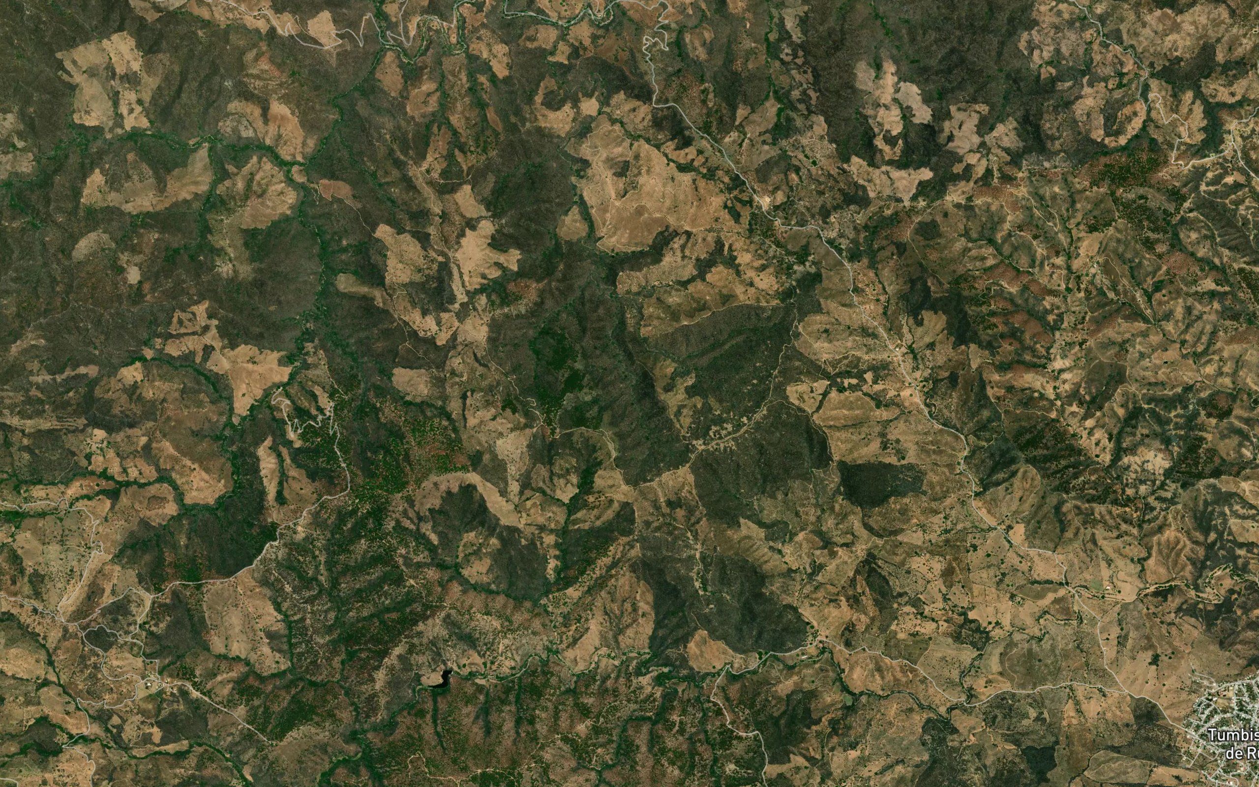 Barranca El Ortigo