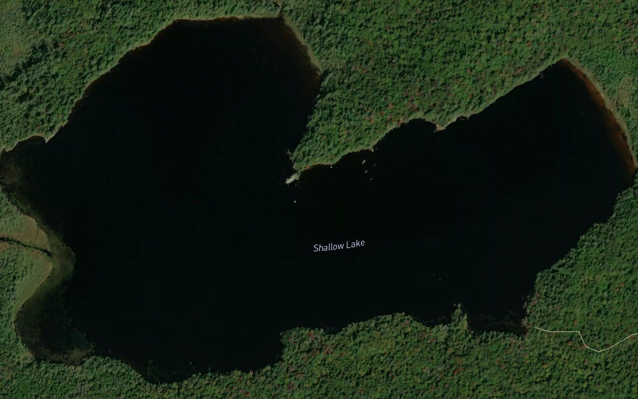 Shallow Lake