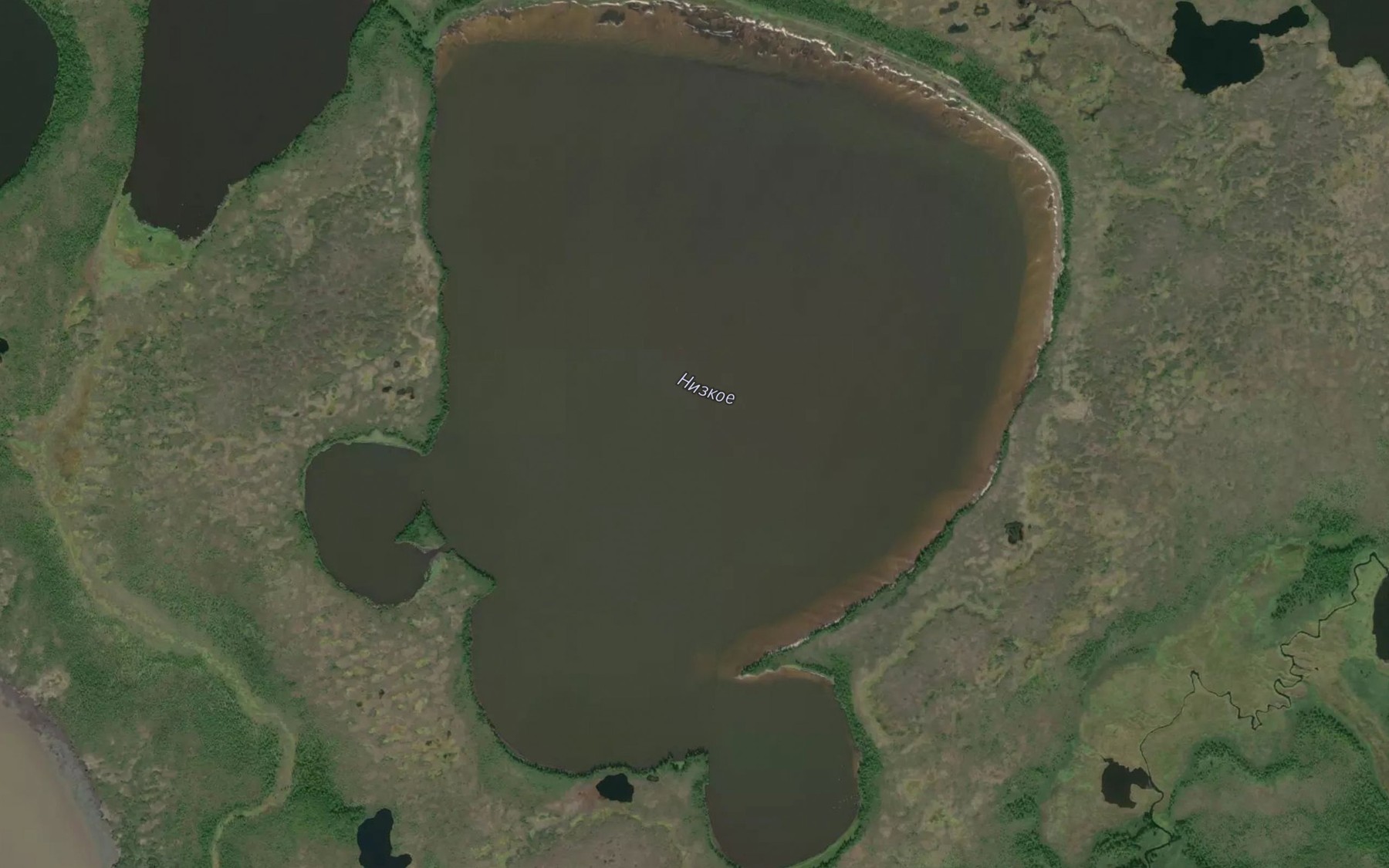Satellite map of the Ozero Nizkoye