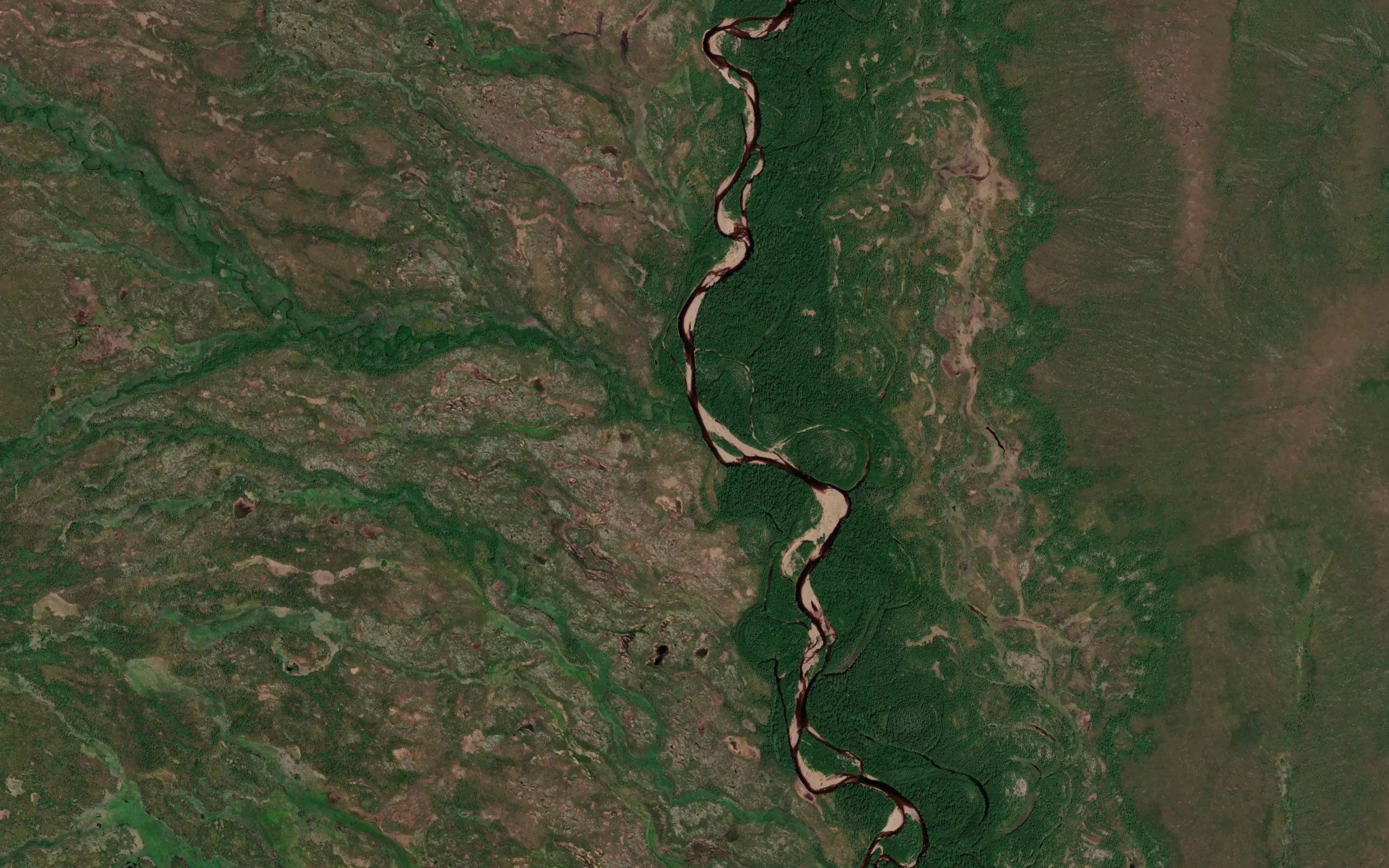 Stlanikovyy