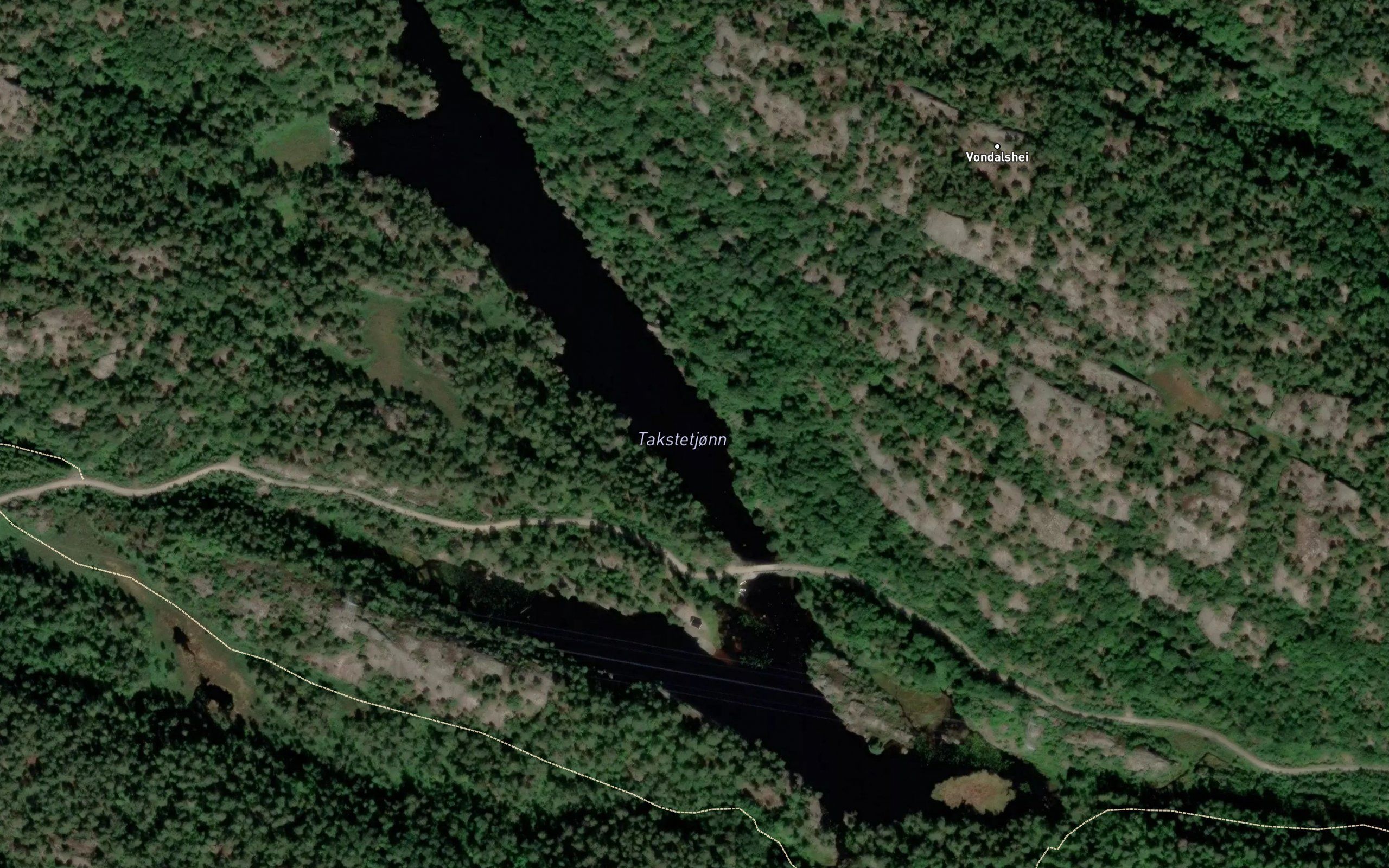 Lyngvann