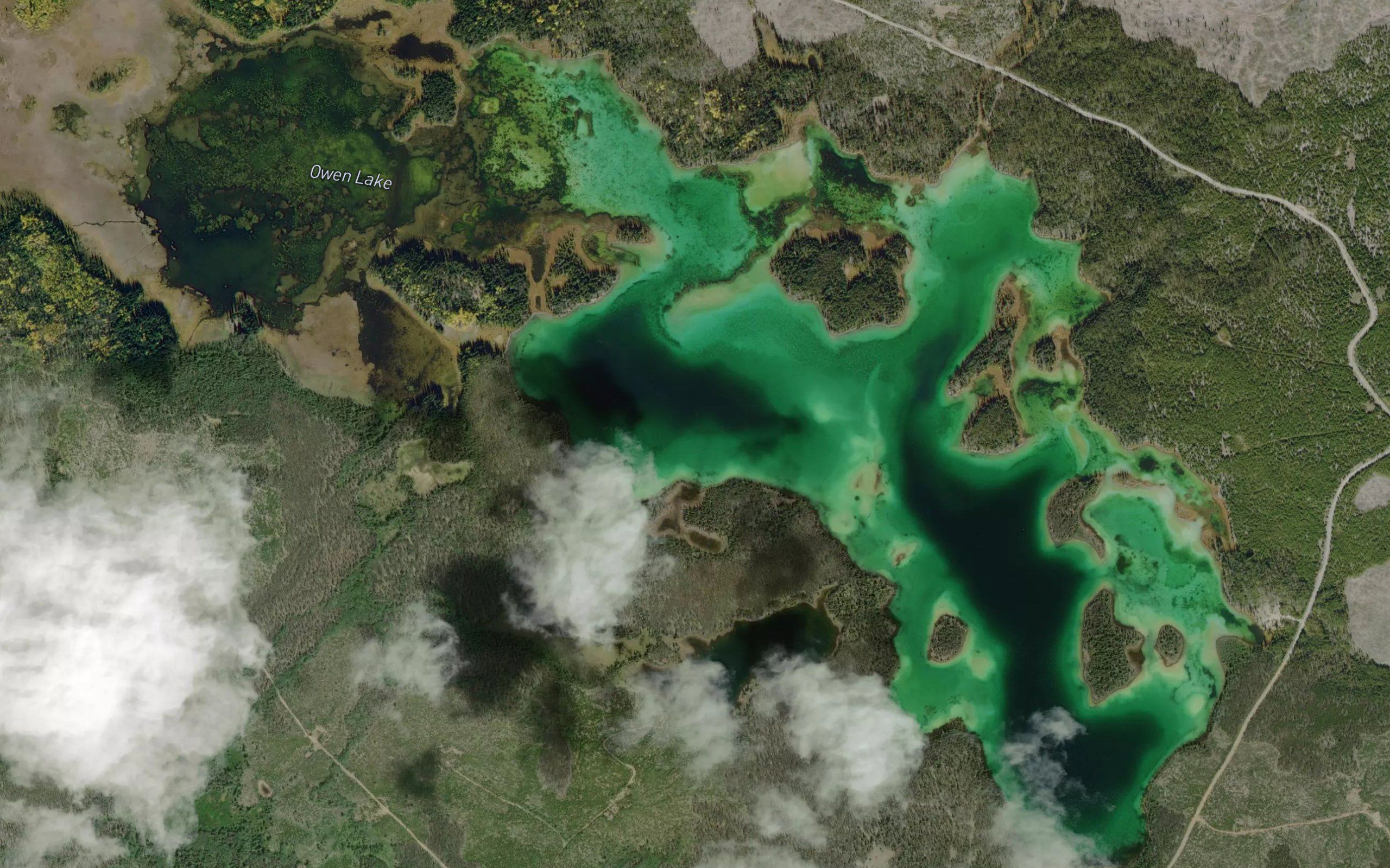 Owen Lake