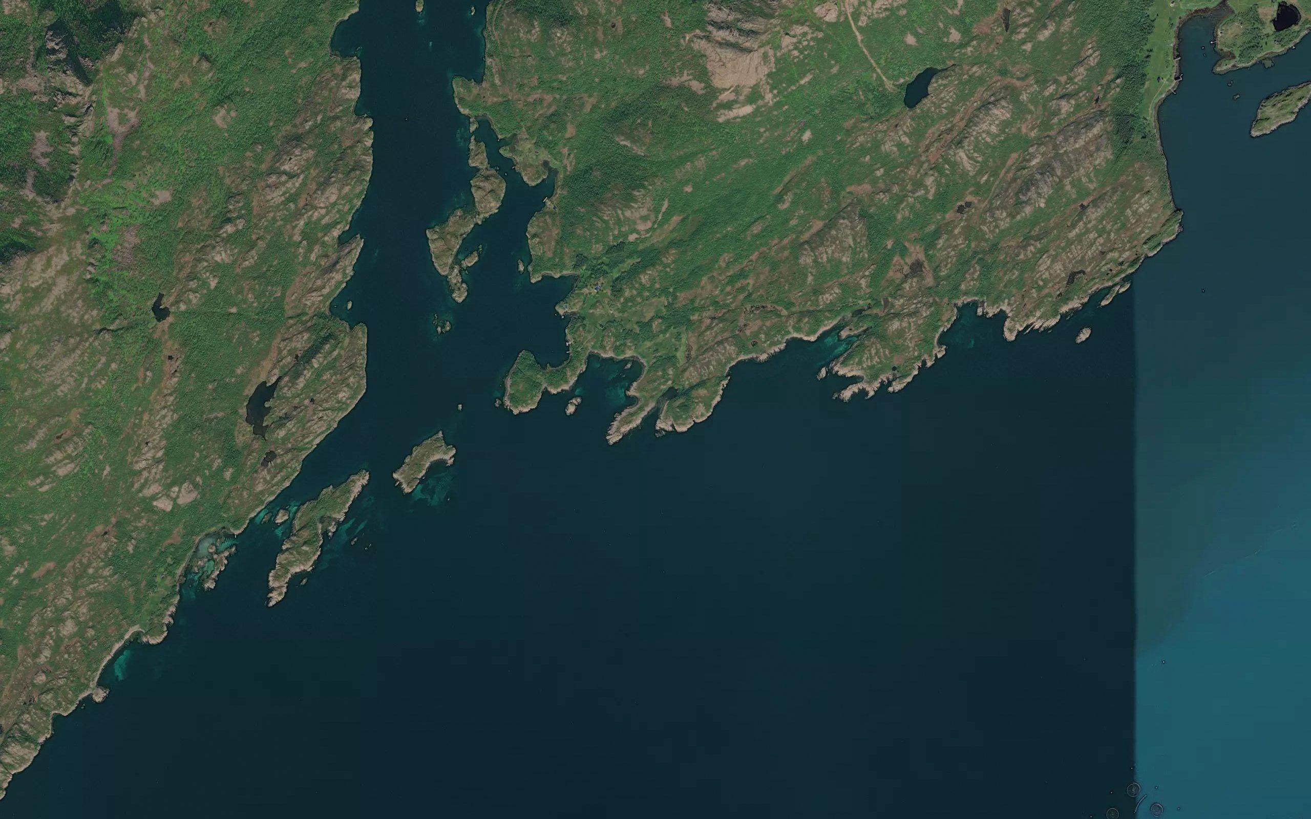 Kollvika