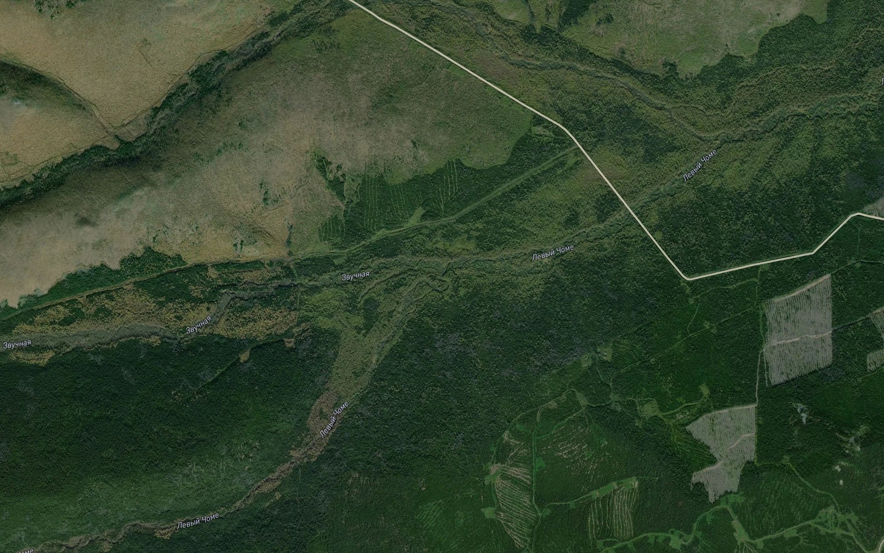 Satellite map of the Zvuchnaya