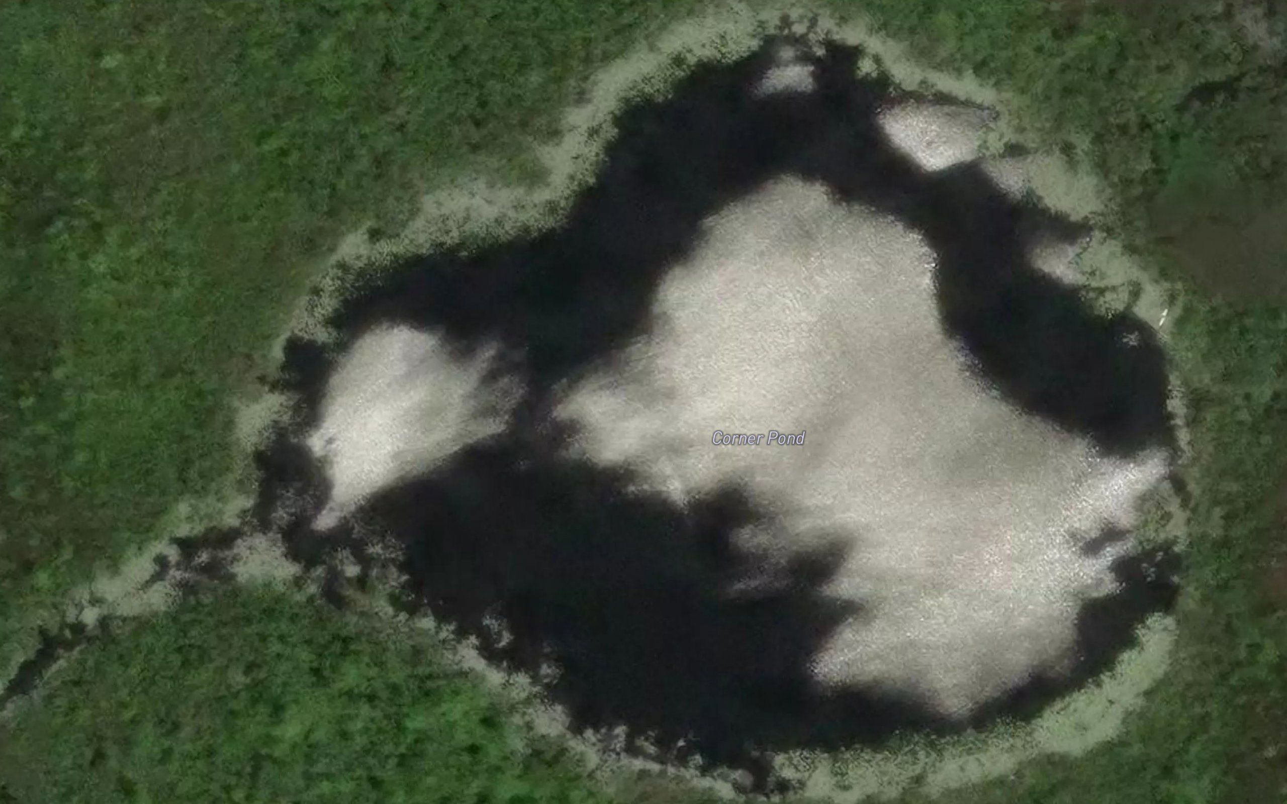 Corner Pond