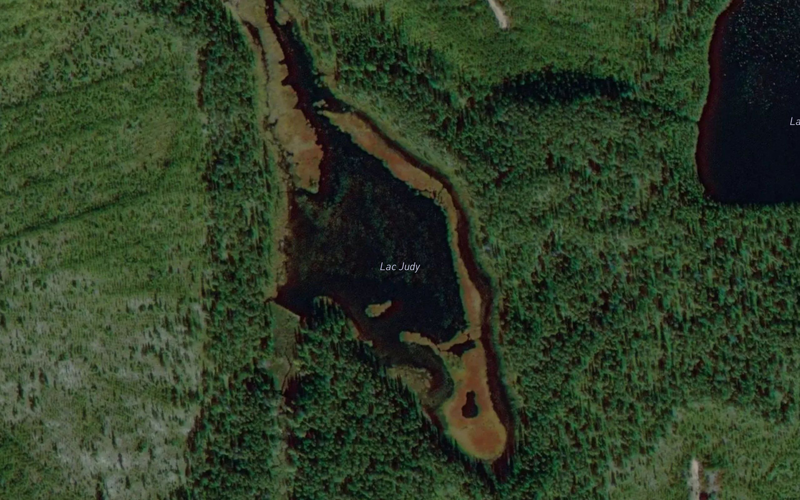 Lac Judy