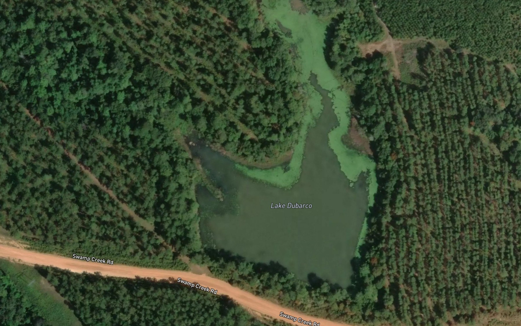 Satellite map of the Lake Dubarco