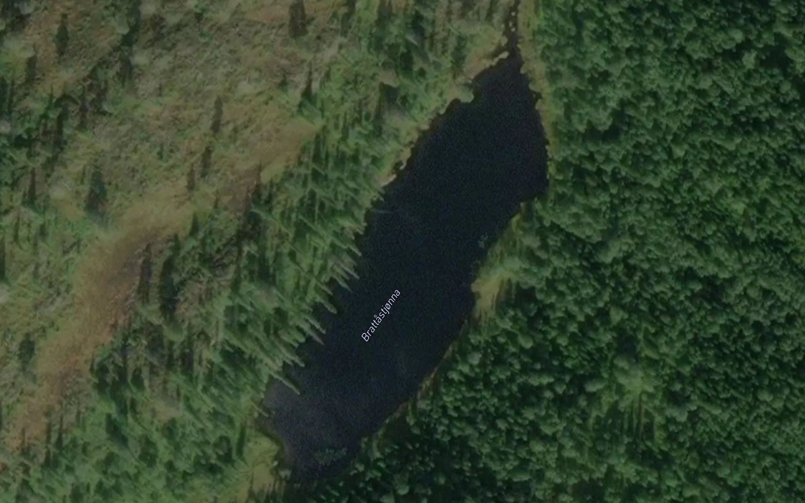 Brattastjonna