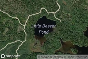 Little Beaver Pond