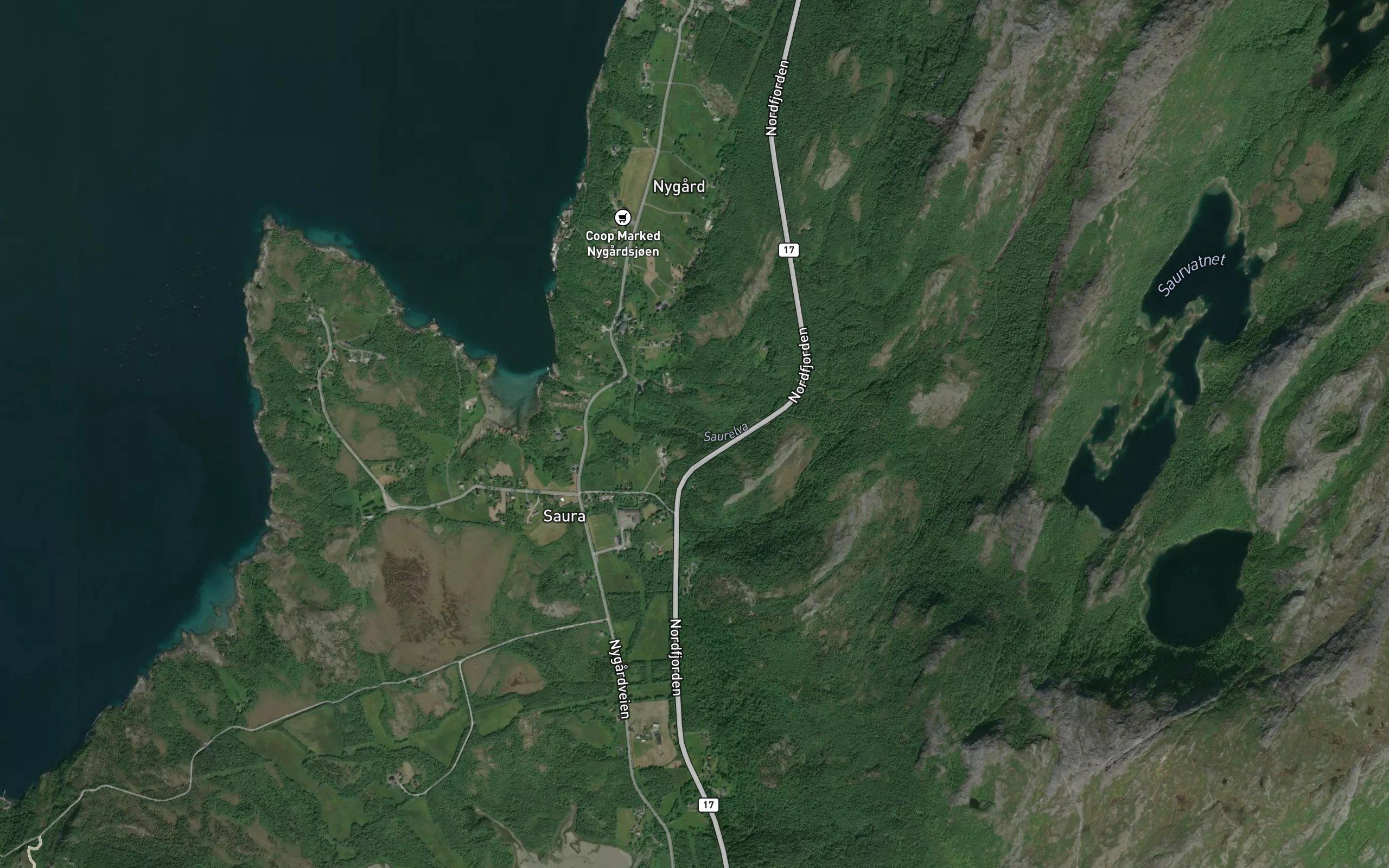 Saurelva