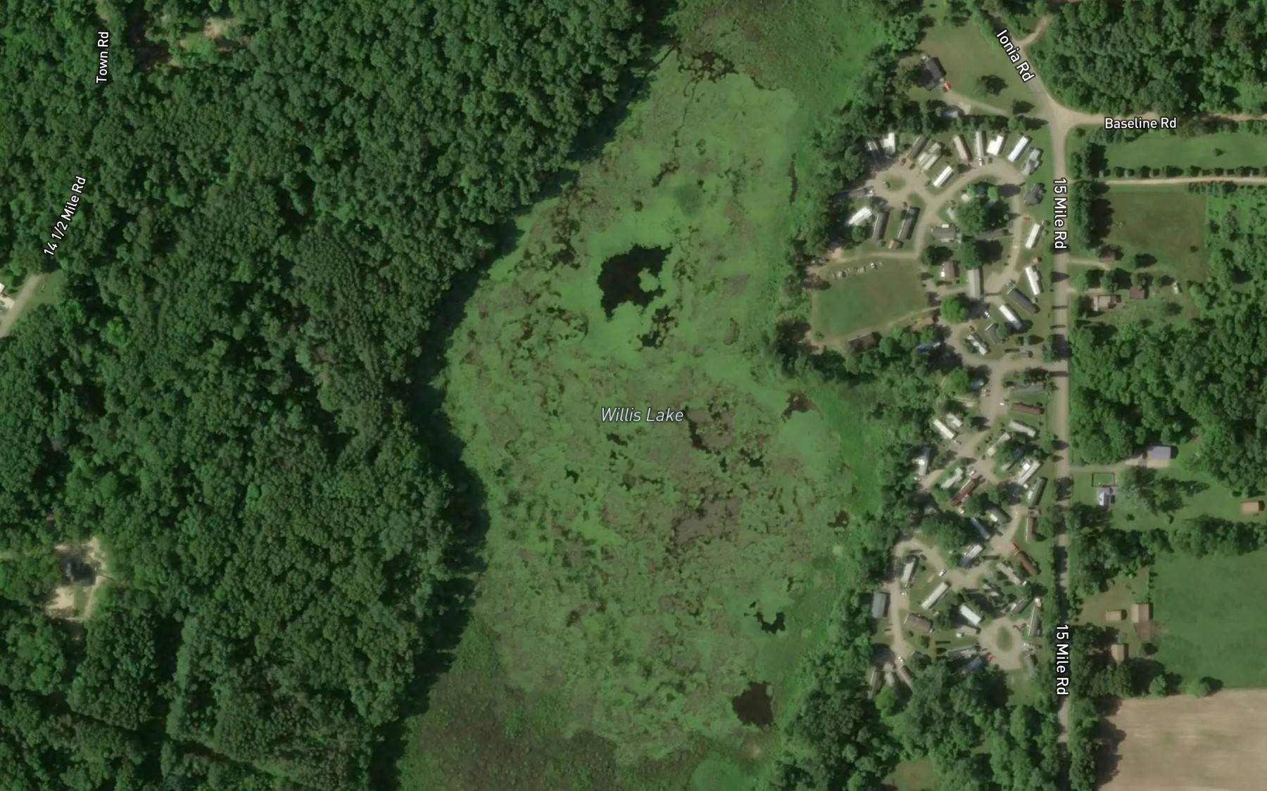 Satellite map of the Willis Lake