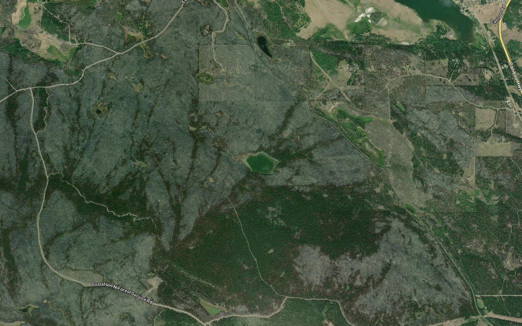 Satellite map of the Savon Lake