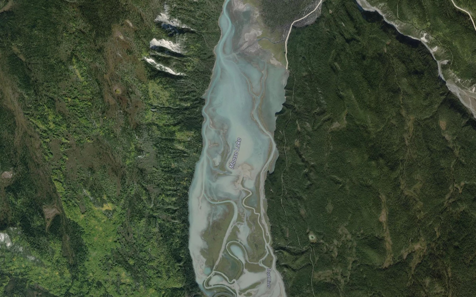Satellite map of the Moose Lake